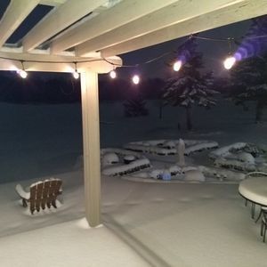 Meet your Posher, Benny